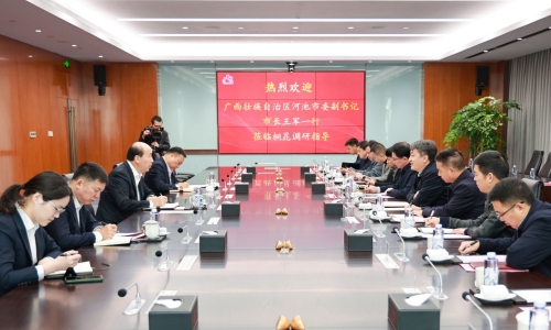 廣西壯族自治區(qū)河池市委副書記、市長王軍蒞臨桐昆