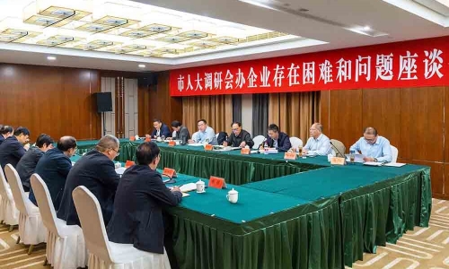 宿遷市人大常委會副主任、黨組副書記曹秀明蒞臨桐昆恒陽調(diào)研