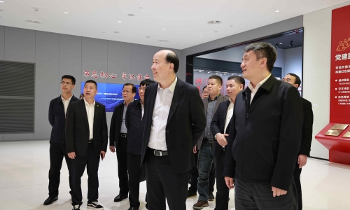 廣西壯族自治區(qū)河池市委副書記、市長王軍蒞臨桐昆調(diào)研