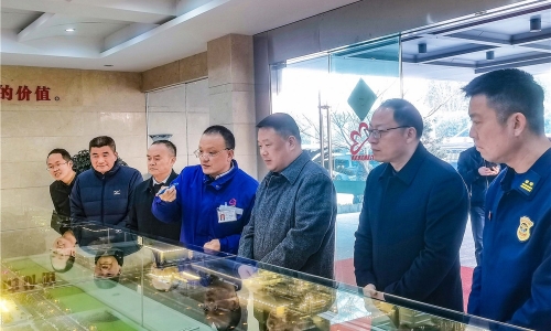 嘉興市委常委、常務副市長朱苗蒞臨桐昆嘉興石化調(diào)研