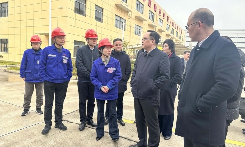 嘉興市人民政府副市長戴鋒蒞臨桐昆恒翔調(diào)研