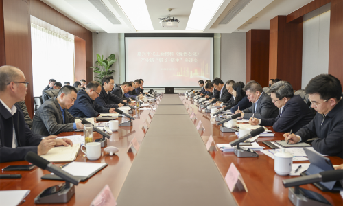 堅(jiān)持“四化”發(fā)展，共話新質(zhì)生產(chǎn)力丨桐昆集團(tuán)董事長(zhǎng)受邀參加嘉興市化工新材料（綠色石化）產(chǎn)業(yè)鏈“鏈長(zhǎng)+鏈主”座談會(huì)！