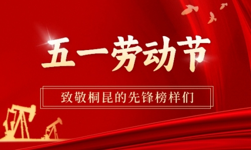 勞動(dòng)最美丨致敬桐昆的先鋒榜樣！