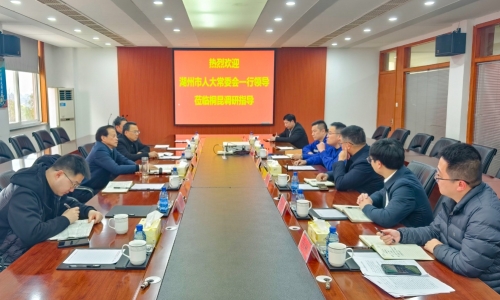 湖州市人大常委會(huì)黨組書記、主任孫賢龍蒞臨桐昆恒騰調(diào)研